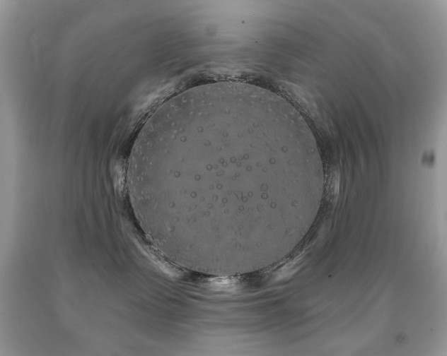 X0000092010335200709061538