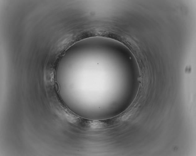 X0000092010336200709061538