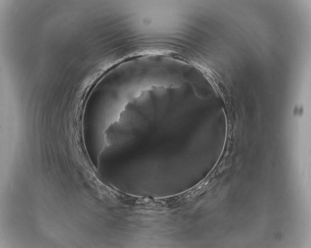 X0000092010337200709061537