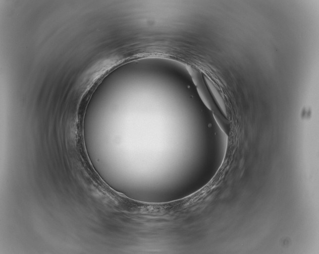 X0000092010338200709061537