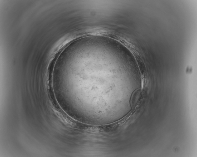 X0000092010339200709061537