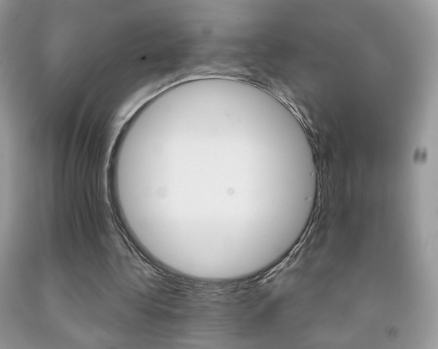X0000092010340200709061537