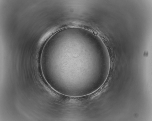 X0000092010341200709061537