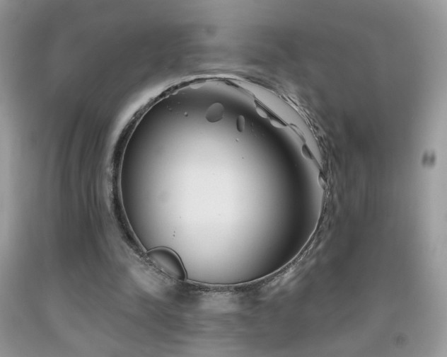 X0000092010342200709061537