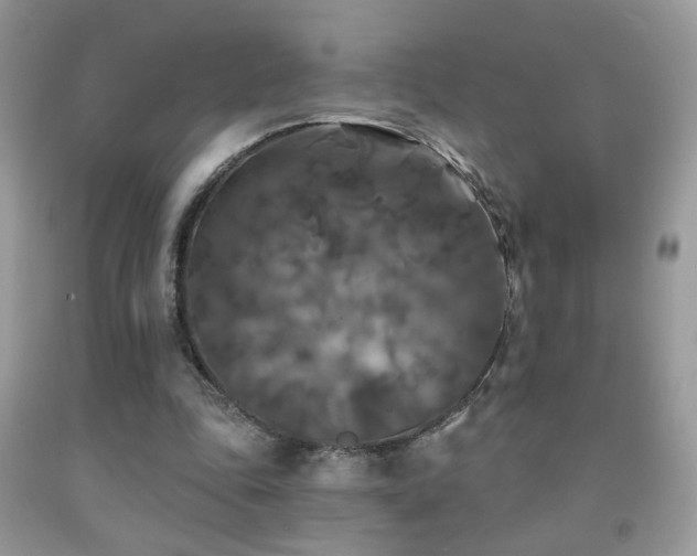X0000092010343200709061537