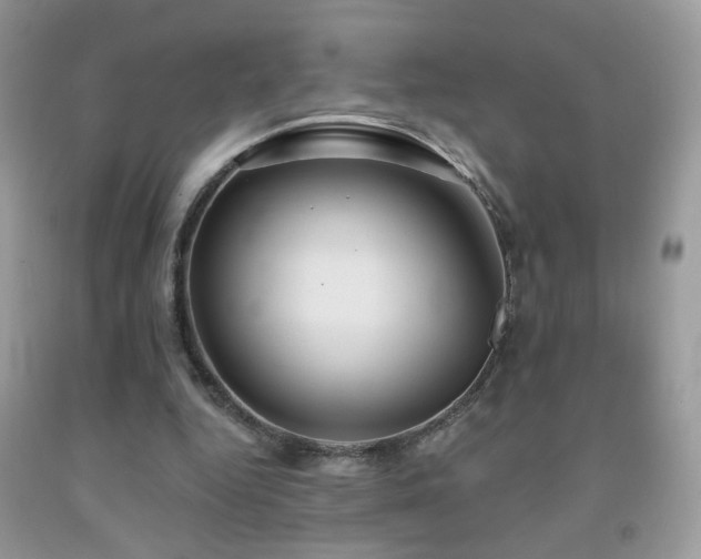 X0000092010344200709061537
