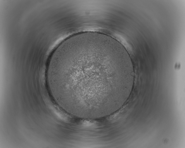 X0000092010346200709061537