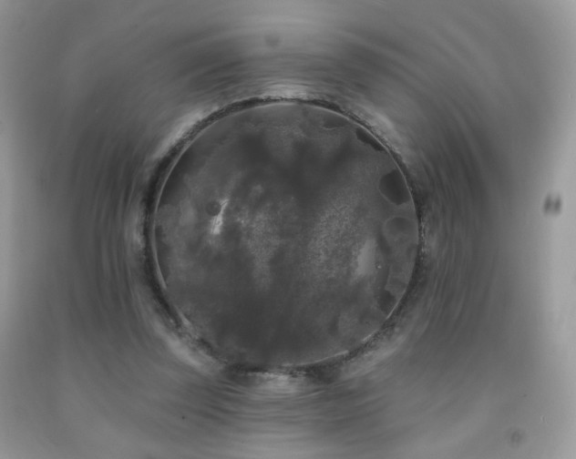 X0000092010347200709061537