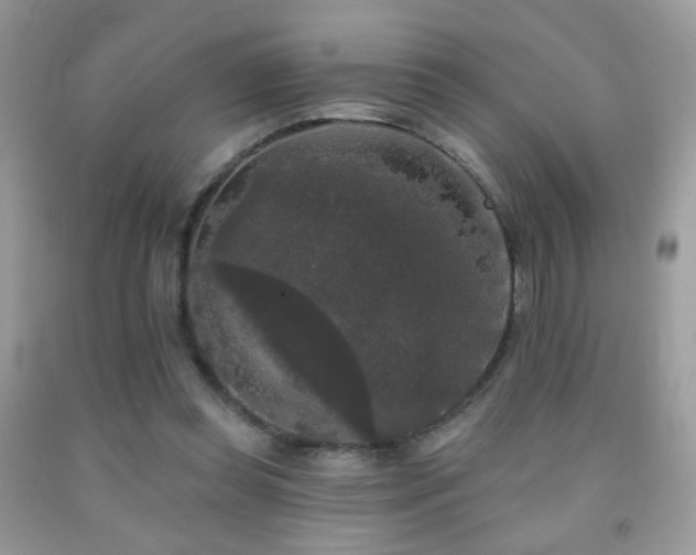 X0000092010349200709061537