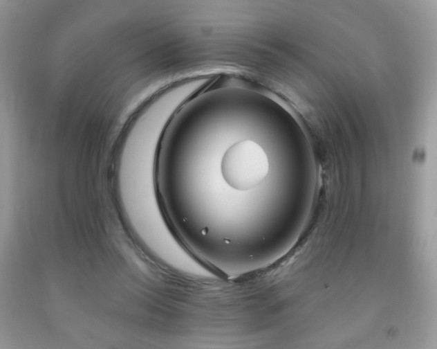 X0000092010350200709061537