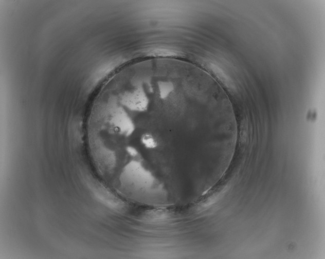X0000092010351200709061537