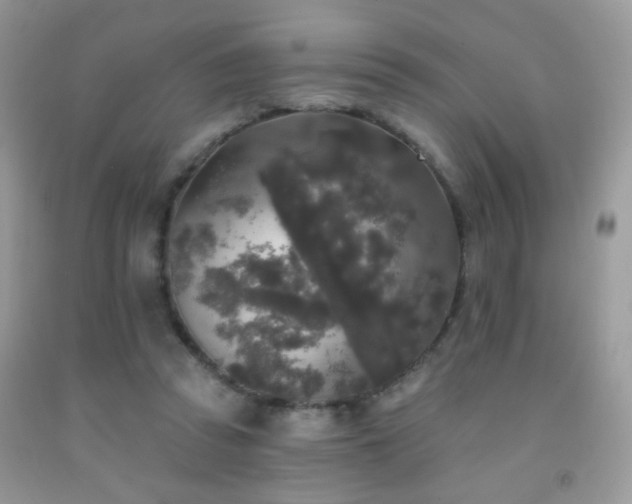 X0000092010353200709061537