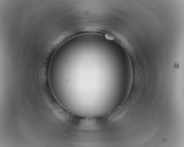 X0000092010354200709061537