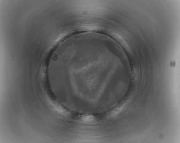 X0000092010355200709061537