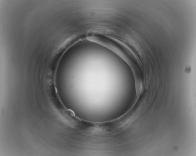 X0000092010356200709061537
