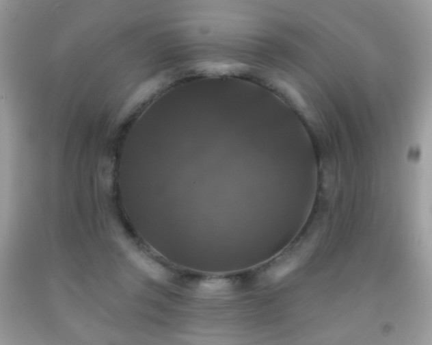 X0000092010357200709061537