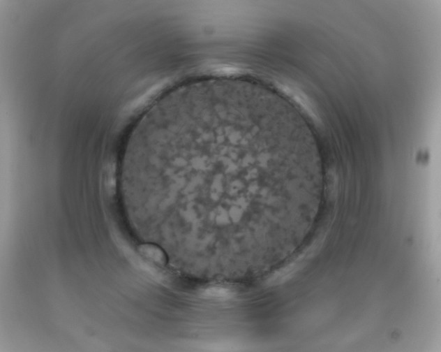 X0000092010358200709061537