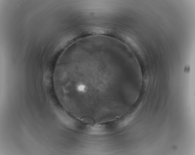 X0000092010359200709061537