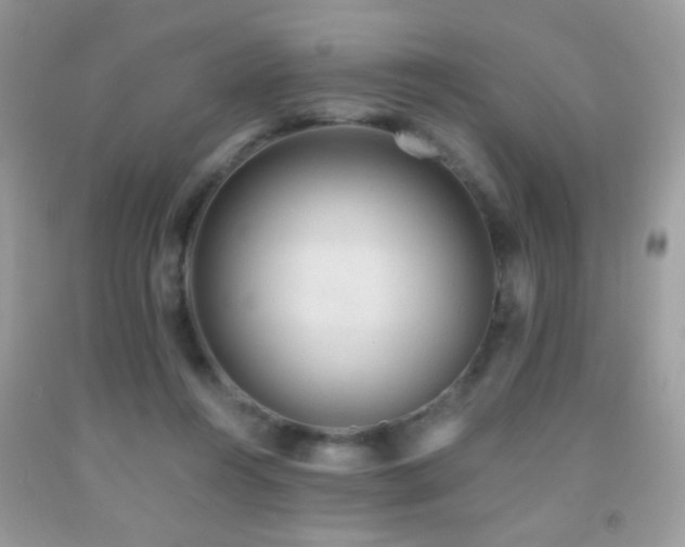 X0000092010360200709061537