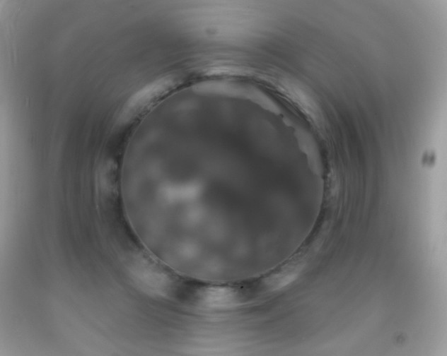 X0000092010361200709061537