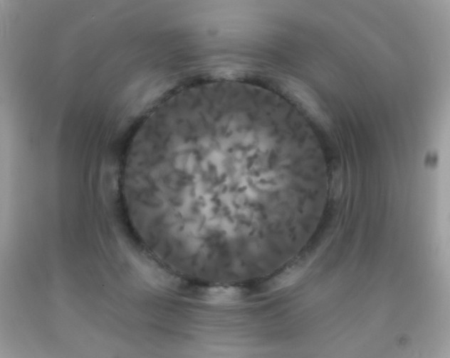 X0000092010363200709061537