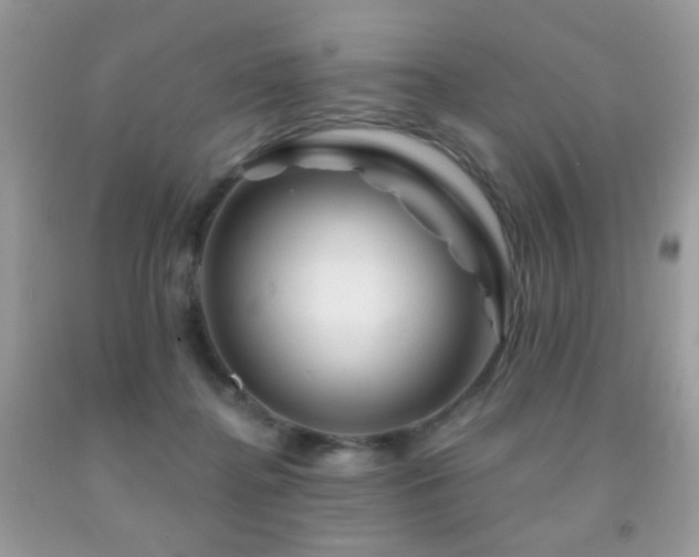 X0000092010364200709061537