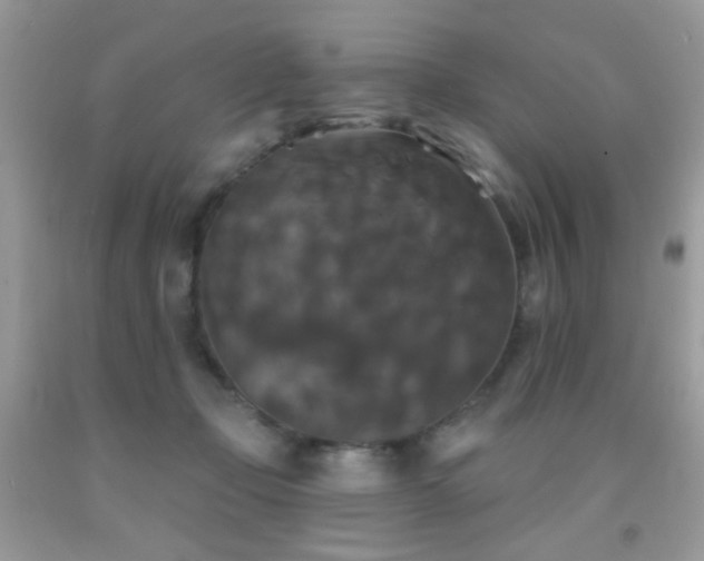 X0000092010365200709061537