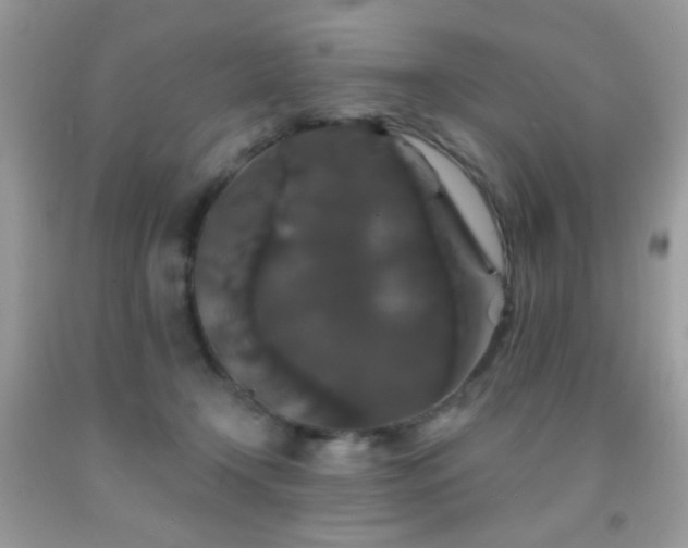 X0000092010366200709061537