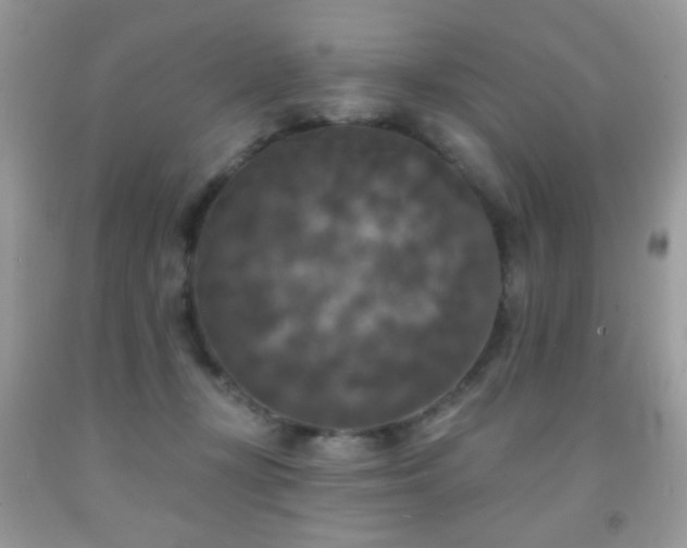 X0000092010367200709061537
