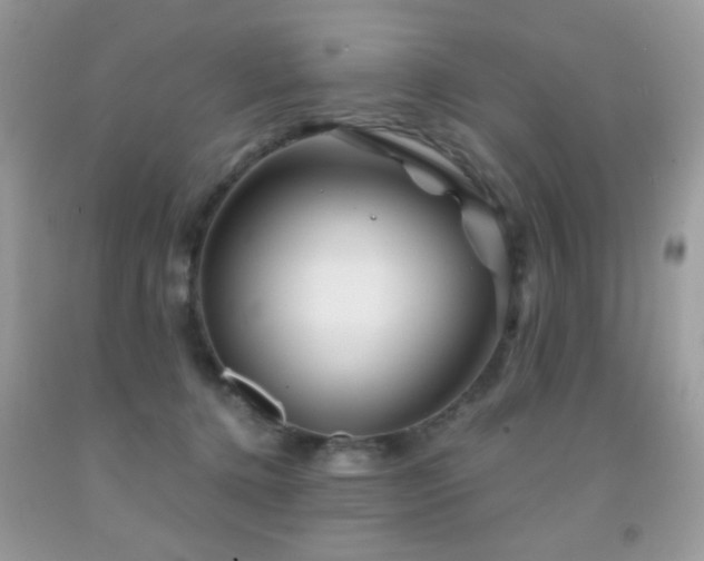 X0000092010368200709061537