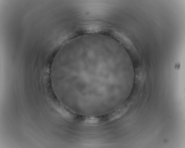 X0000092010369200709061537
