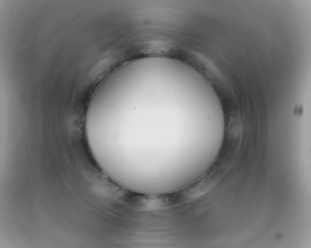 X0000092010370200709061537