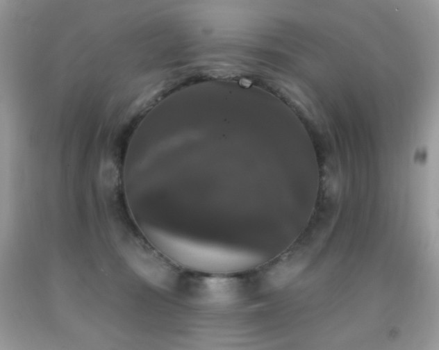 X0000092010371200709061537