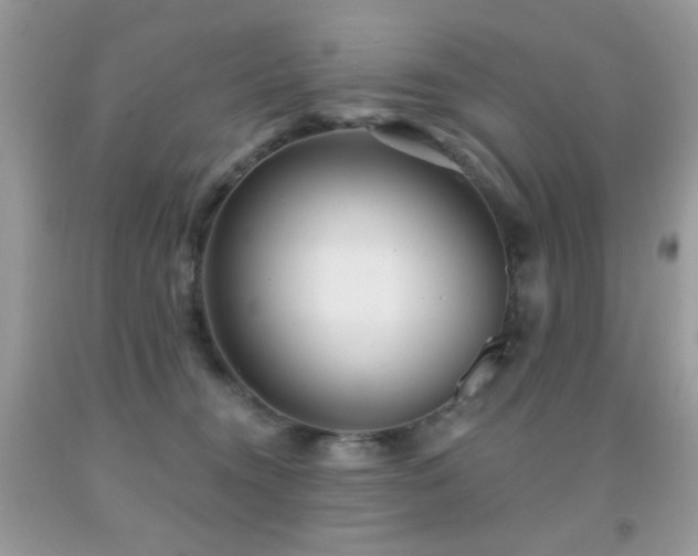 X0000092010372200709061537