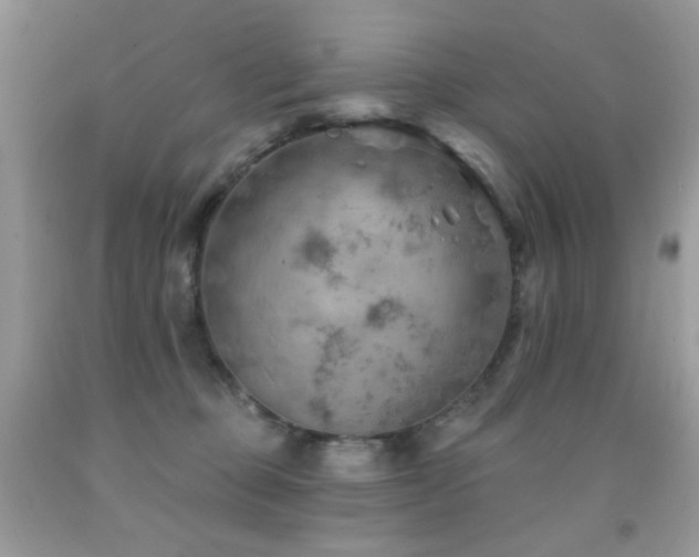 X0000092010373200709061537