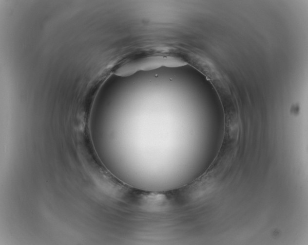 X0000092010374200709061537