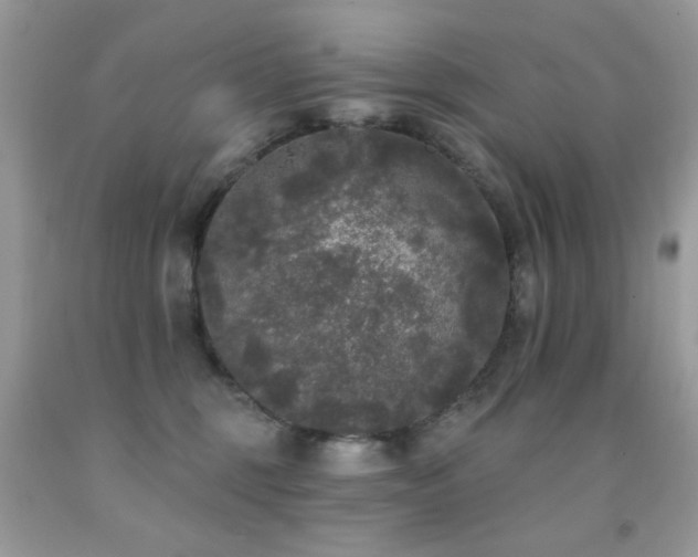 X0000092010375200709061537