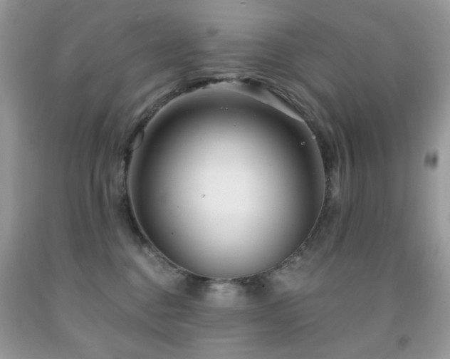 X0000092010376200709061537