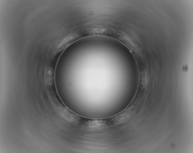 X0000092010378200709061537