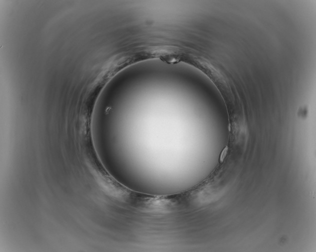 X0000092010379200709061537