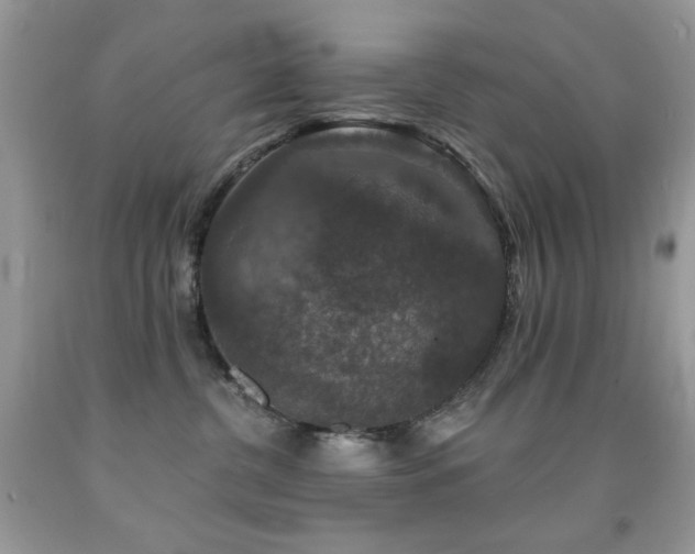 X0000092010380200709061537
