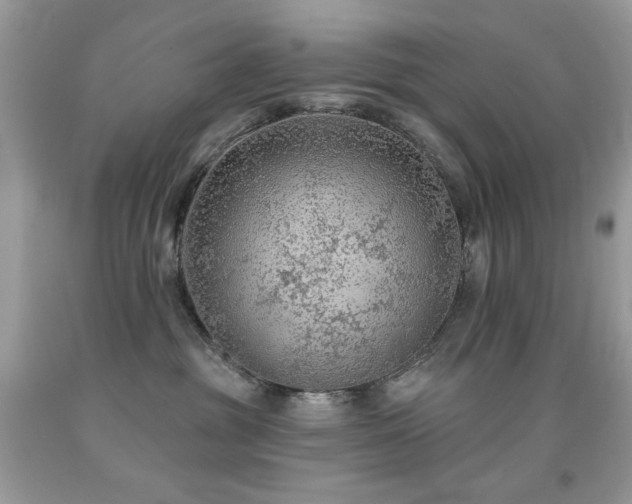 X0000092010381200709061537