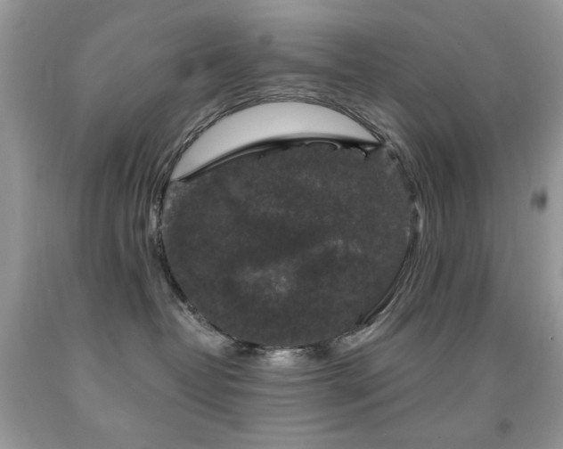 X0000092010382200709061538