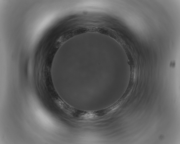 X0000092010383200709061538