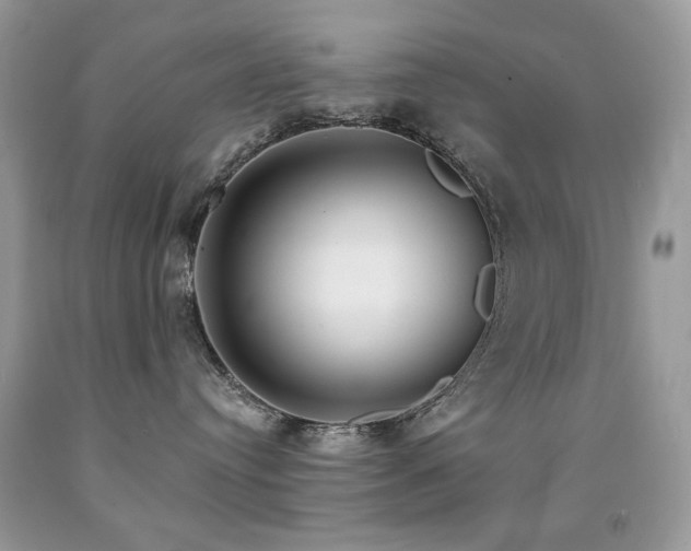 X0000092010384200709061538