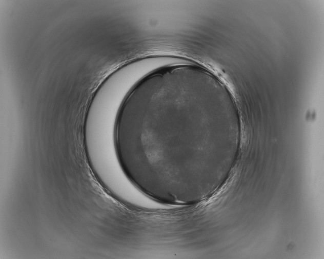 X0000092010385200709061537