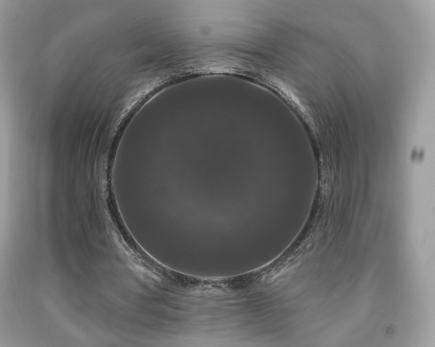 X0000092010386200709061537