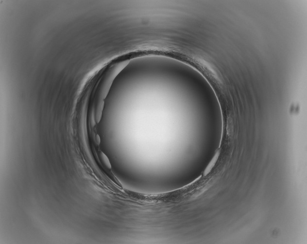 X0000092010388200709061537