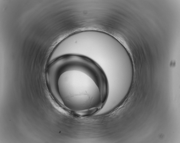 X0000092010389200709061537