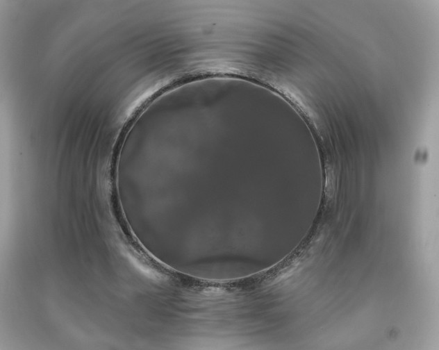 X0000092010390200709061537